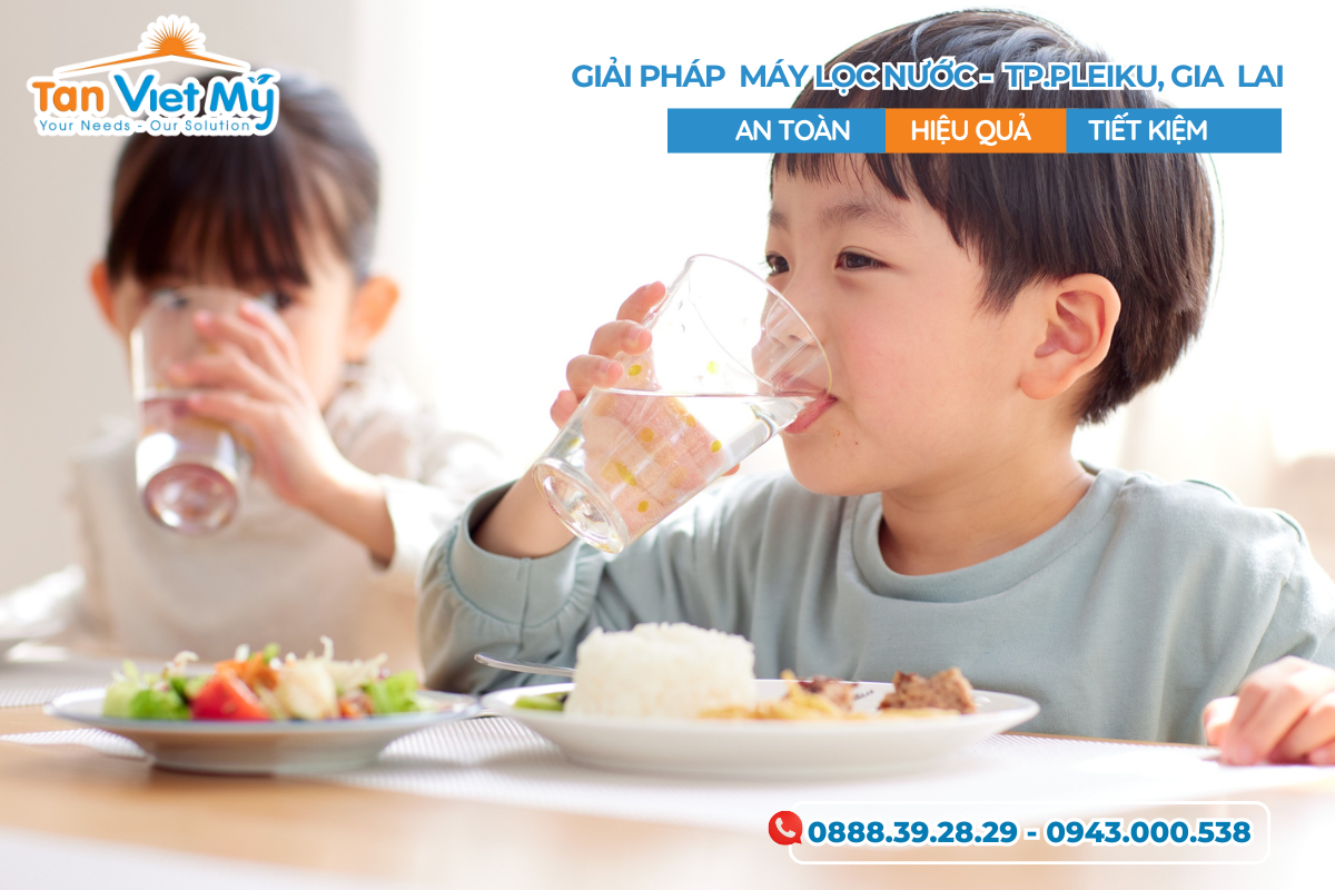 Cung Cấp Máy Lọc Nước Uy Tín Pleiku Gia Lai – Tân Việt Mỹ Tân Group