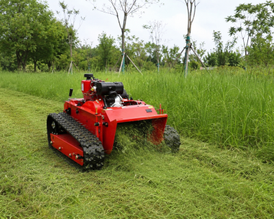 Máy Cắt Cỏ Điều Khiển Từ Xa